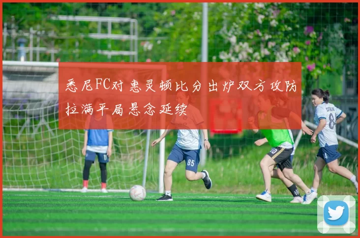 悉尼FC对惠灵顿比分出炉双方攻防拉满平局悬念延续