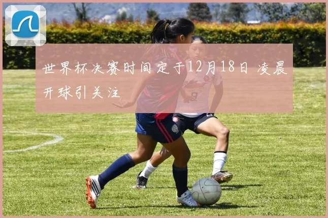 世界杯决赛时间定于12月18日 凌晨开球引关注
